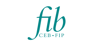 FIB